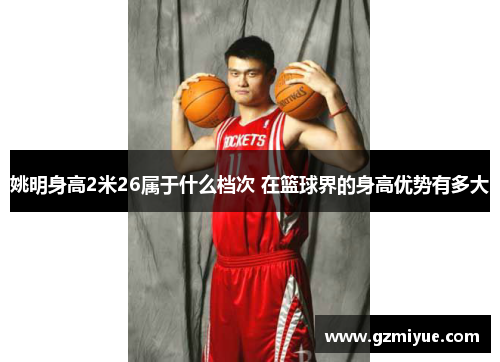 姚明身高2米26属于什么档次 在篮球界的身高优势有多大