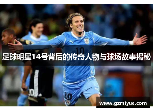 足球明星14号背后的传奇人物与球场故事揭秘