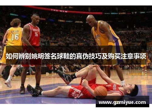 如何辨别姚明签名球鞋的真伪技巧及购买注意事项
