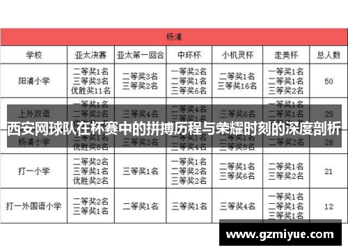 西安网球队在杯赛中的拼搏历程与荣耀时刻的深度剖析